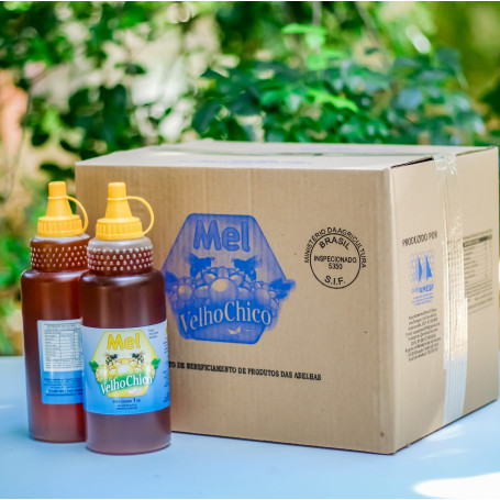 Caixa Mel 12 unidade bisnagas de 01 kg