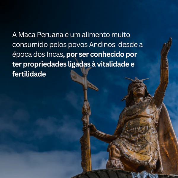 Maca Peruana Amarela 100g Maca Peruana Amarela 100g